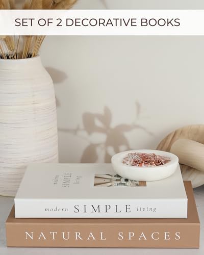 Decorative Books / Boxes Coffee Table / Set of 2