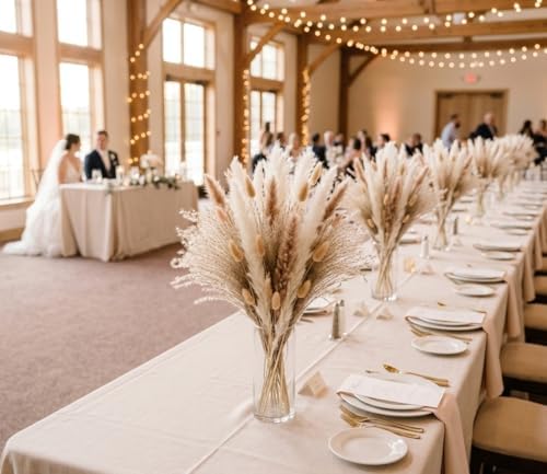 110 Stems 17" Dried Pampas Grass, Boho Table Decor Natural Reed Phragmites Grass + Brown & White Pampas Grass + Bunny Tails Flowers Bouquet for Wedding Floral Arrangements Farmhouse Home Rustic Wall