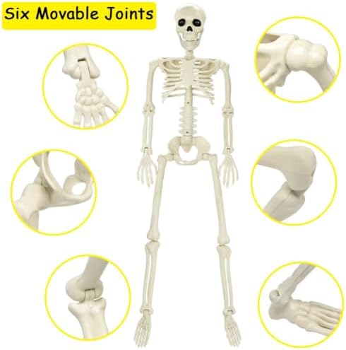 CAMIRUS 3FT Skeleton, 36" Full Body Skeleton with Movable Posable Joints, Realistic Plastic Bones Halloween Prop for Outdoor Haunted House Decorations