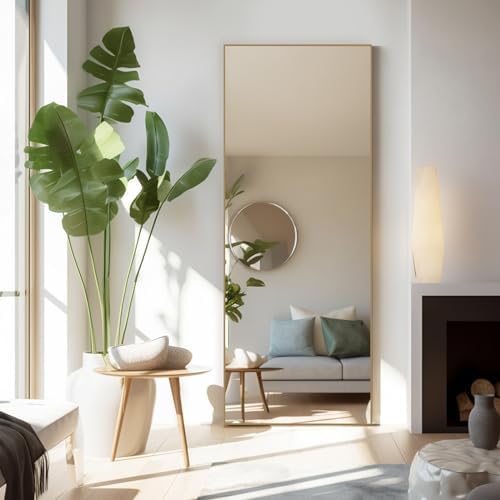 Full Length Floor Mirror, 21"x64" Body Wall Mirror with Stand