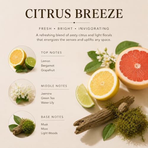 Airkeep Reed Diffuser Set,3.38 fl oz (100 ml) - Citrus Breeze Oil Diffusers with 8 Reed Sticks, Home Fragrance Reed