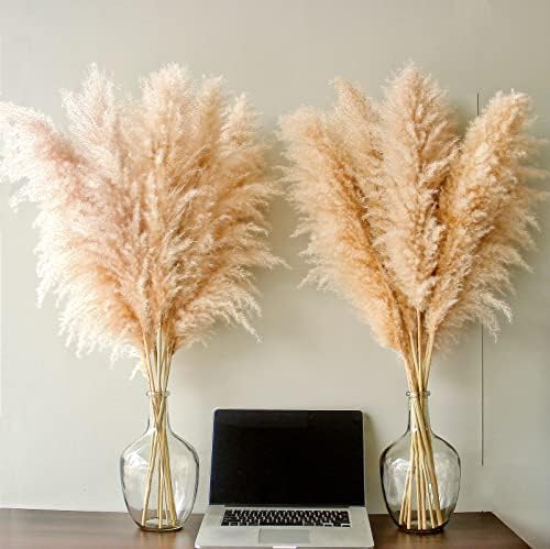 Tall Pampas Grass / Natural / Set of 10