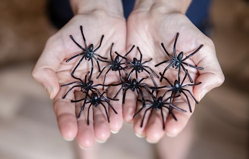 Halloween Spider Web Decoration, 800 Sqare Feet & Plastic Spiders, Halloween Party Supplies, Spider Webs (Large, 800 Sq Feet)