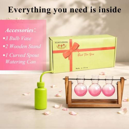 XXXFLOWER Plant Terrarium Kit with Wooden Stand 3 Gradient Pink Bulb Vases