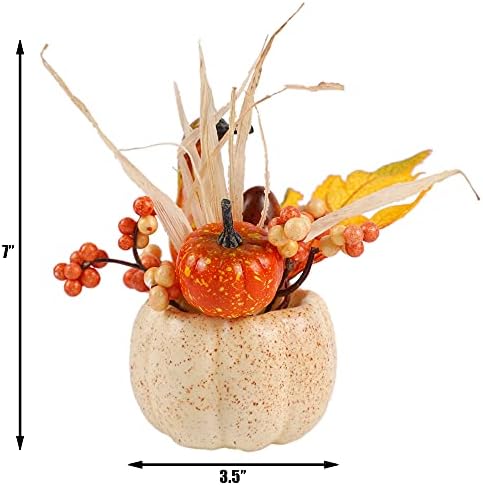 winemana Fall Decorations for Home Table Centerpiece Fake Pumpkin Decor