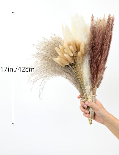 xin's convey 110pcs Dried Pampas Grass, (Vase Not Included),Dried Flower Bouquet, Reed Grass Bouquet for Boho Floral Home, Wedding Party Centerpiece, Rustic Farmhouse Decoration.(Brown)