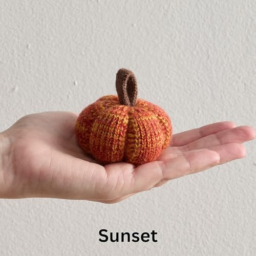 Cozy Mini Knit Pumpkin Set of 12 (Spiced Maple Full Set)
