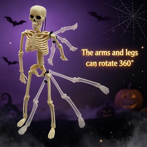 Anditoy 5 Pack 16" Full Body Halloween Skeletons Decorations Movable Joints Posable Hanging Skeleton for Indoor Outdoor Yard Halloween Decor Party Supplies