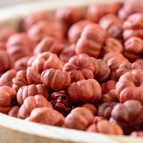 ANDALUCA Natural Vase Fillers | Fall Fragrance Scented Putka Pods Potpourri Home Décor (Putka Pods)