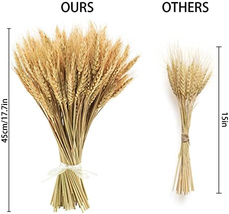 18 inches Natural Dried Wheat Stalks, 400 Stems Wheat Dried Flowers for Vase Home Kitchen Office Spring Flowers Arrangement Wedding Crowns Wreath Table Centerpiece Farmhouse Boho Party Décor