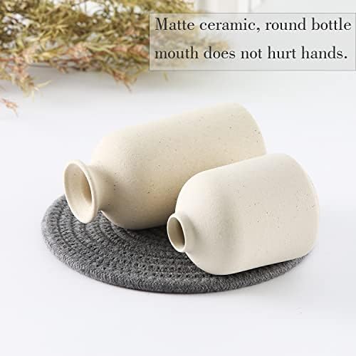 Beige Ceramic vase Set-3 Small Flower vases for Decor / 3set-beige