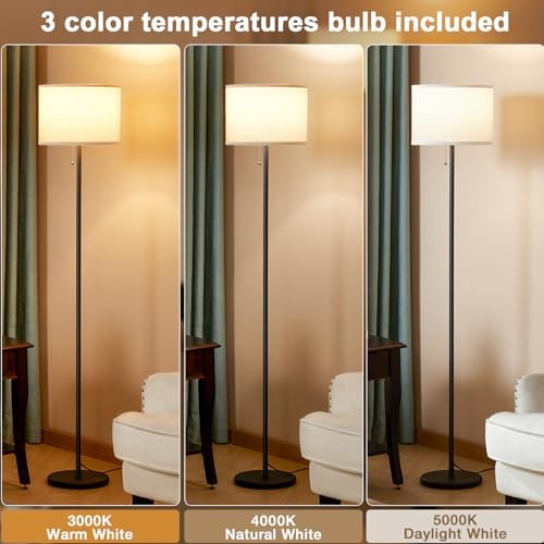 Ambimall Modern Standing Floor Lamp for Living Room & Bedroom with 3 Color Temperatures Bulb & Pull Chain Switch, 60"