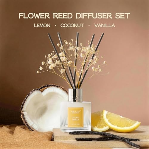Airkeep Reed Diffuser Set,3.38 fl oz (100 ml) - Coconut Vanilla Oil Diffusers with 8 Reed Sticks, Home Fragrance Reed