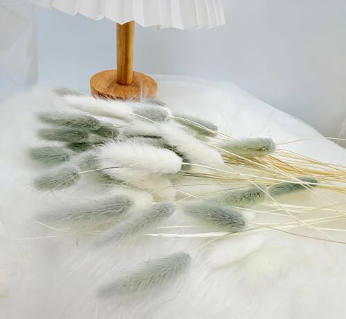 120pcs Dried Bunny Tails Flowers White and Grey Pampas Grass Natural Dried Floral Arrangement Dry Flowers for Christmas Halloween Boho Decor Home Wedding DIY Craft Decoration (16")