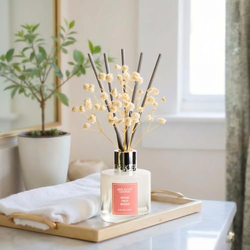 Airkeep Reed Diffuser Set,3.38 fl oz (100 ml) - Spiced Fruit Woods Oil Diffusers with 8 Reed Sticks, Home Fragrance