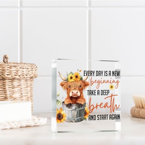 Highland Western Cow Sign Decor, Every Day Is a New Beginning Take a Deep Breath and Start Again Motivational And Inspirational Decorations， Inspirational Gifts for Friends 4x4 Inch