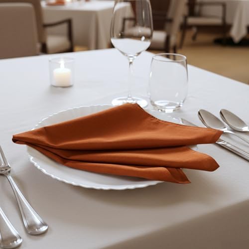 Cloth Napkins Set of 12, 100% Cotton Dinner Napkins for Thanksgiving, Christmas & Fall Entertaining, Washable Reusable Table Linens for Wedding & Everyday Use, 18 x 18 Inch, Rust