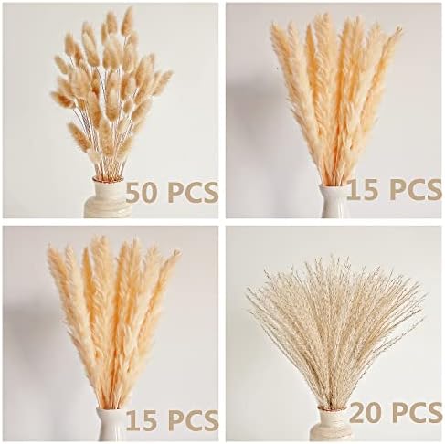 Natural Dried Pampas Grass Decor, Beige Pampas Grass, Bunny Tails Dried Flowers, Reed Grass Bouquet for Wedding Boho
