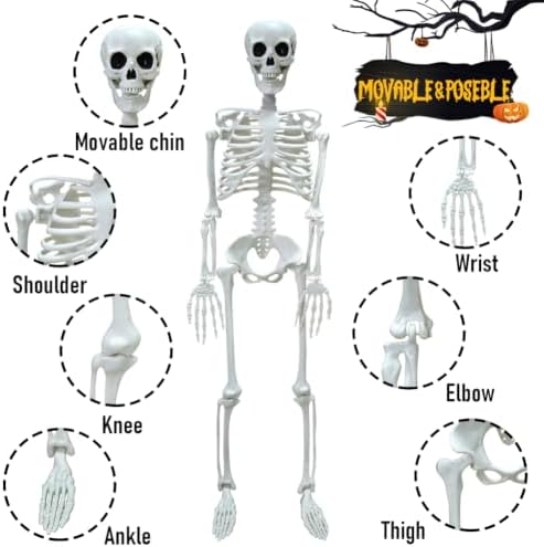2PACK 36" Skeleton Halloween Decorations, 3FT Skeleton with Movable Joints
