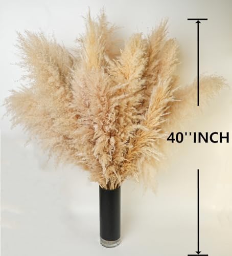 10 PCS 40" Tall Pampas Grass Stems in Natural Beige, Add a Boho Touch to Your Space—Pompas Grass Ideal for Floral