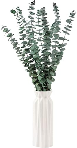 Dried Stems 17" Real for Shower Hanging 100% Made from Fresh Leaves / Eucalyptus / Set of 10