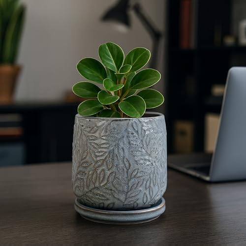 D'vine Dev Embossed Leaves Ceramic Planter, 4 in, Graphite Blue, 27-A-Z-9