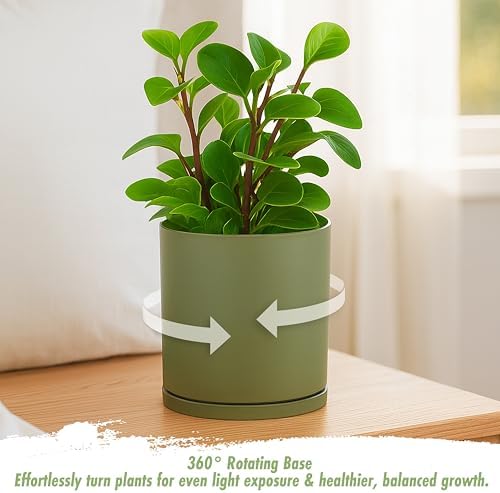 D'vine Dev Double-Layer Self-Draining Planter Set – Rotating Plastic Outer Pot with Clear Inner Liner for Root Health, Perfect for Indoor Plants, 6.5", Set of 2, Olive, 73-V-C-2