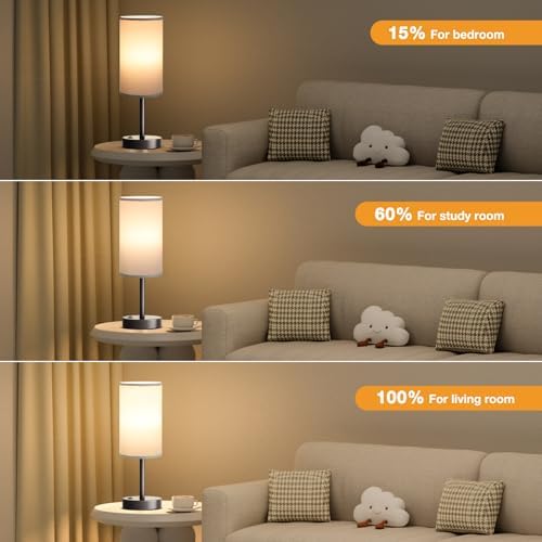 Fenmzee 17.4" Grey Lamp for Bedroom - Dimmable Touch, USB A+C, AC Outlet