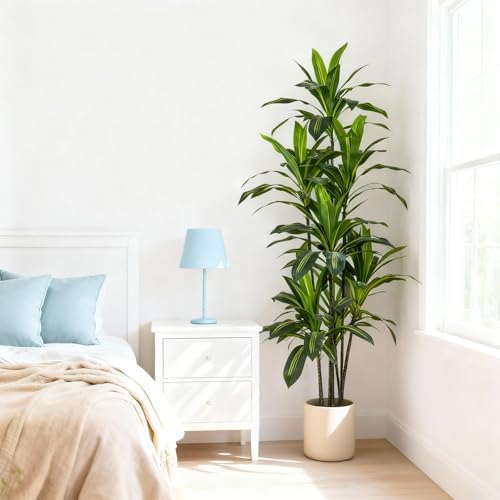 6FT Dracaena Artificial Plant - Large Tropical Indoor Fake Tree with Lifelike Leaves - Tall Faux Floor Plant in Pot for