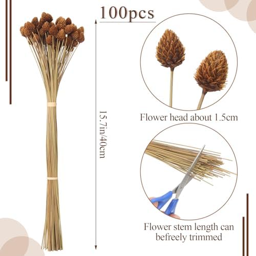WILLBOND 100pcs Fall Dried Flowers Mini Pine Cones with Stems 15.7in