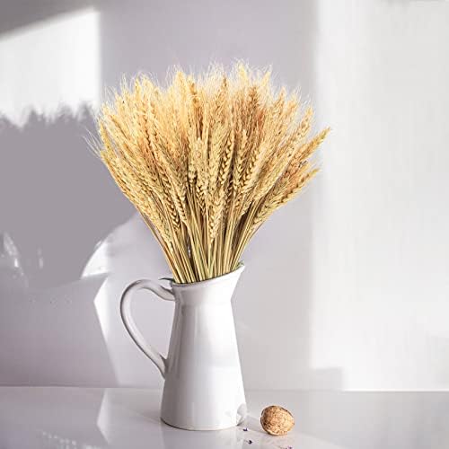 Uieke 600 Stems Dried Wheat Stalks, 17.7 Inches Dried Flowers 100% Natural Wheat for Home Kitchen Wedding Party Table Centerpiece Harvest Wreath Boho Farmhouse DIY Decoration