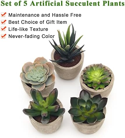 Artificial Succulent Plants Potted / Green