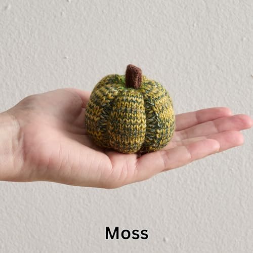 Cozy Mini Knit Pumpkins Set of 5 (Juniper 2.5 Inch Set)
