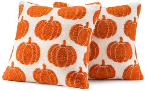 Fall Pumpkin Pillow Covers Fall Decor 18x18 Set of 2 Orange