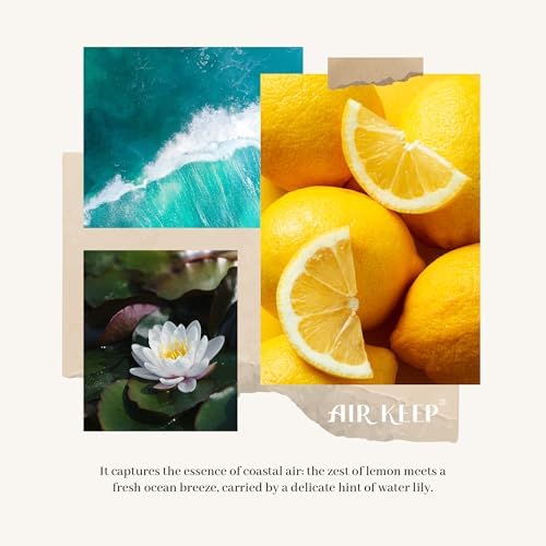 Airkeep Reed Diffuser Set,3.38 fl oz (100 ml) - Ocean Breeze Oil Diffusers with 8 Reed Sticks, Home Fragrance Reed