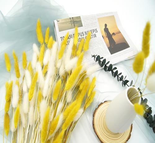 Dried Bunny Tails Flowers 120pcs Tail Dried Flowers Pampas Grass Natural Dried Floral Arrangement 17" for Christmas Halloween Boho Decor Home Wedding DIY Craft Decoration(White and Yellow)