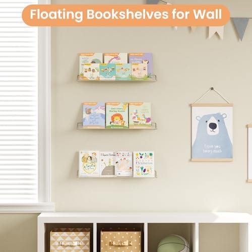 upsimples 23.6" Acrylic Shelves for Wall Storage and Organizer, 2 Pcs