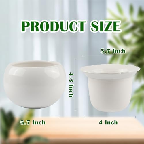 BUYMAX 6 Inch Self Watering Ceramic African Violet Pot Flower Pot Indoor