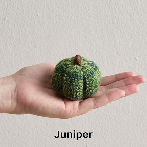 Cozy Mini Knit Pumpkins Set of 5 (Juniper 2.5 Inch Set)