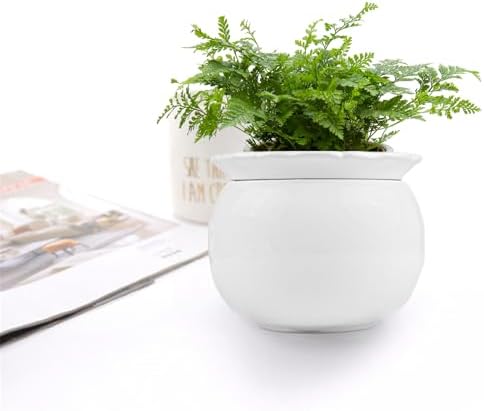 BUYMAX 6 Inch Self Watering Ceramic African Violet Pot Flower Pot Indoor