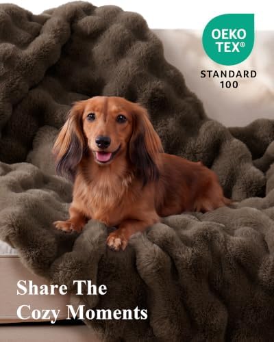 Ultra Soft Cozy Faux Fur Throw Blanket, Fuzzy Plush Thick Bubble Blanket, Oversize Luxury Fluffy Blanket for Couch