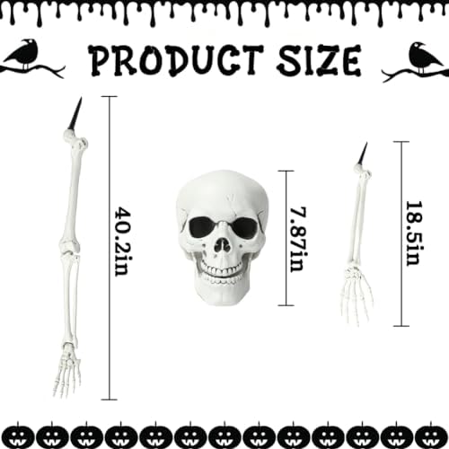 5Pcs Halloween Skeleton Decorations Groundbreaker Yard Stakes Lawn Garden
