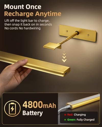 EZVALO Picture Light for Wall, 4800mAh Rechargeable Wireless Remote, 16‘’ Dimmable Magnetic LED Art Display Light with