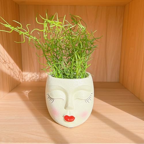 Face Planter Pot,Small Cute Resin Flower Head Planters Red Lip,Yellow,1P