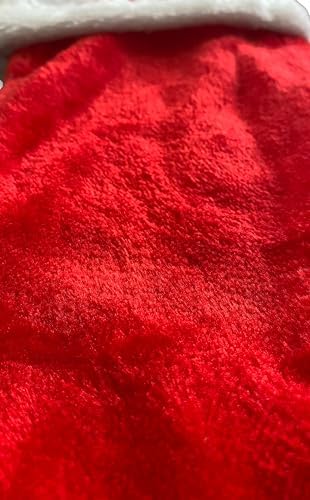 GiftsForYouNow Embroidered Red Plush Personalized Christmas Stocking, Customized, Stocking for The Mantle