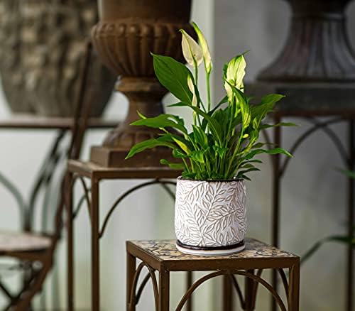 D'vine Dev Embossed Leaves Ceramic Planter, 6 in, Smoked White, 27-A-X-1