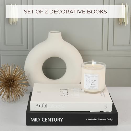 Aesthetic Decorative Books / Black-beige / Set of 2