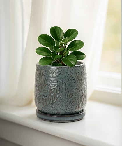 D'vine Dev Embossed Leaves Ceramic Planter, 4 in, Graphite Blue, 27-A-Z-9