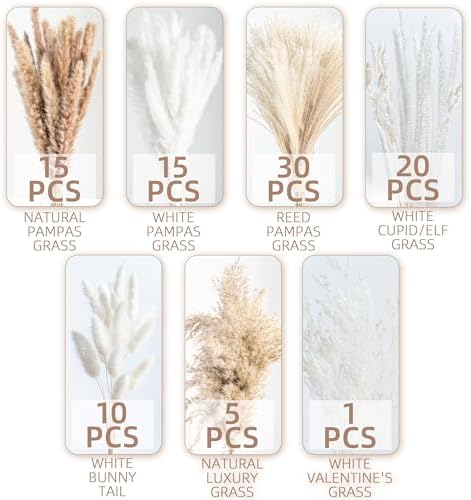 Dried Pampas Grass Boho Home Decor Bouquet Phragmites Dried Flowers Bouquet / Natural / Set of 96