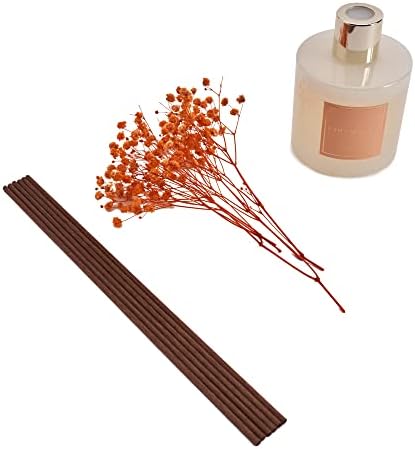 Cocorrína Premium Reed Diffuser Set with Preserved Baby's Breath & Cotton Stick Coconut Lime | 6.7oz Scent Fragrance